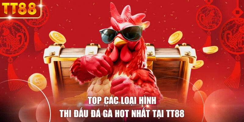 Top các loại hình thi đấu đá gà hot nhất tại TT88
