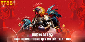 Trường Gà CPC1 - Đấu Trường Thomo Quy Mô Lớn Trên TT88